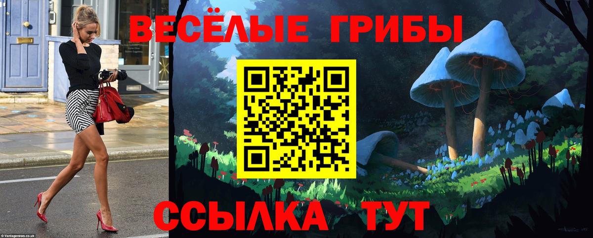 Псилоцибиновые грибы Cubensis Пятигорск