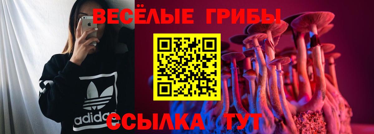 Галлюциногенные грибы Cubensis  наркотики  Пятигорск  Вход с VPN 