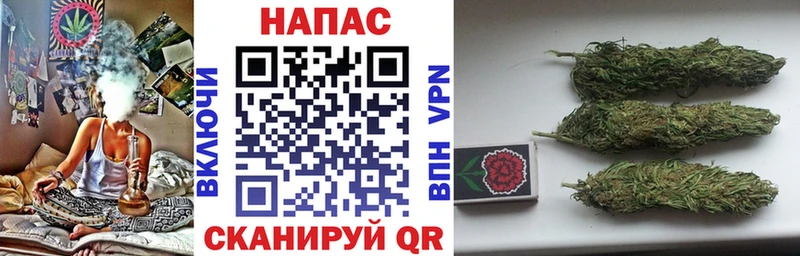 Конопля планчик Пятигорск