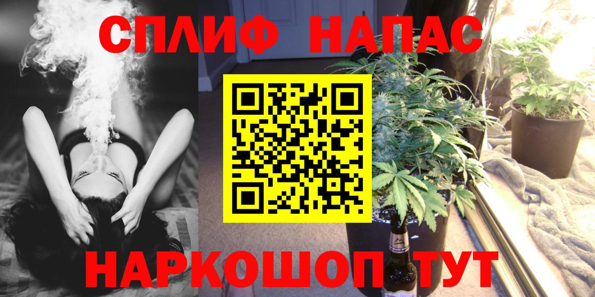 Каннабис индика Пятигорск